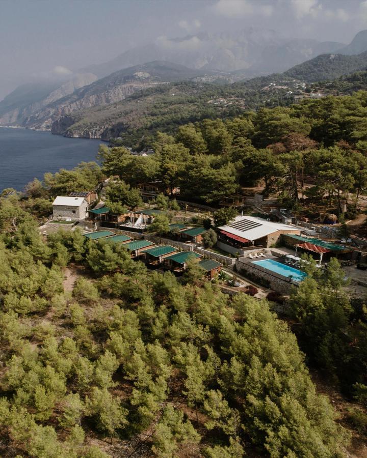 Rocas Roja Beach Hotel Faralya Eksteriør bilde