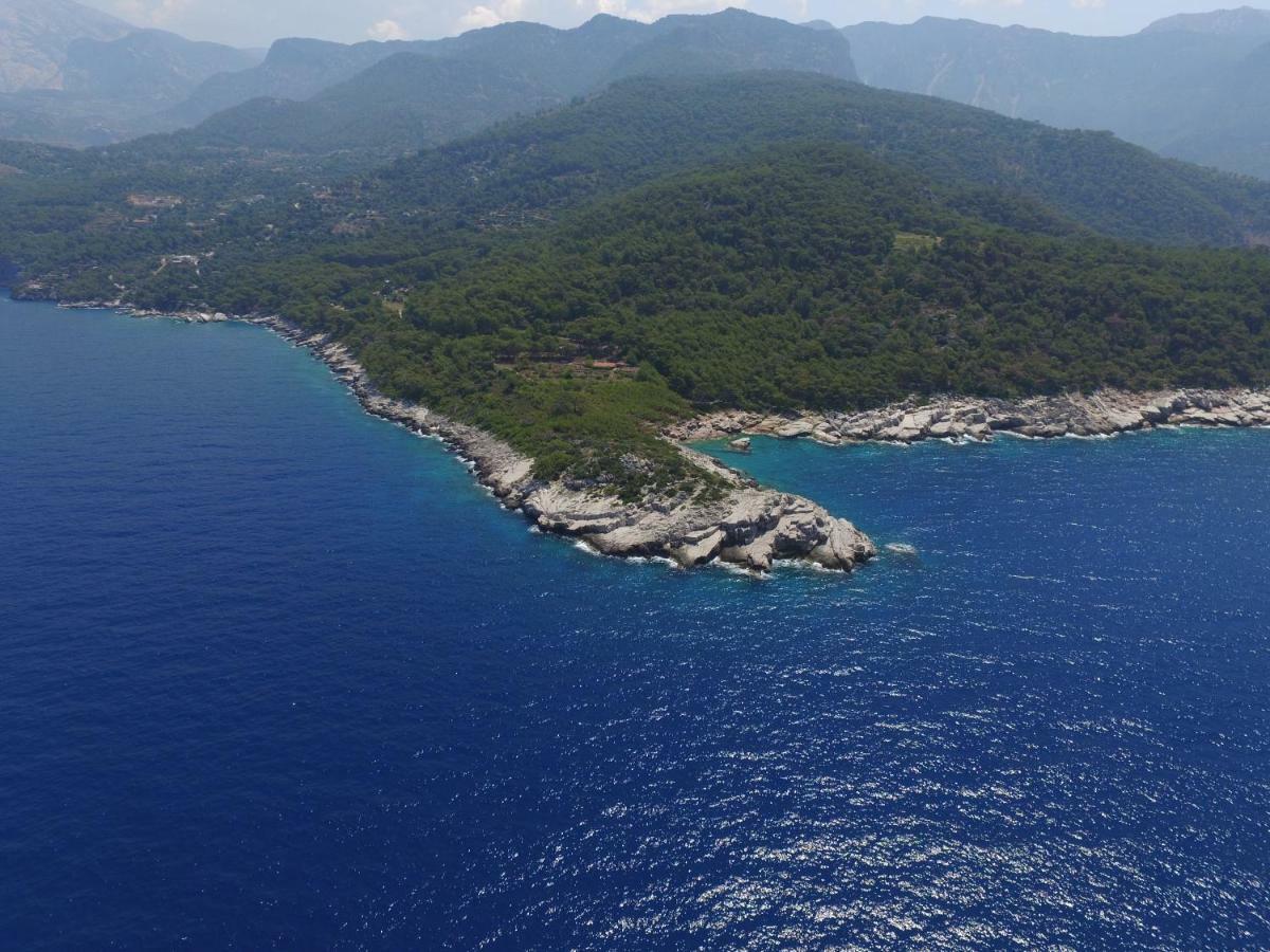 Rocas Roja Beach Hotel Faralya Eksteriør bilde